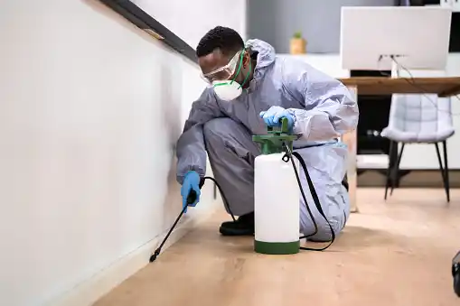 pest control Normandy